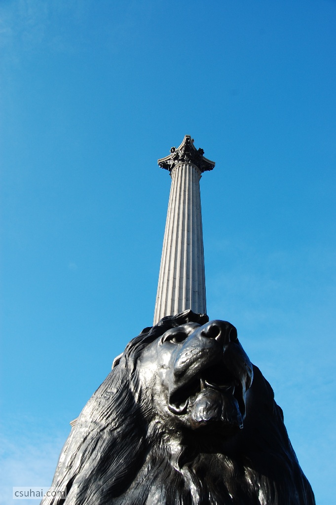 DSC_91142009-02-04_13-59-39