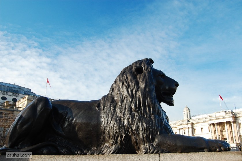 DSC_91202009-02-04_14-00-24