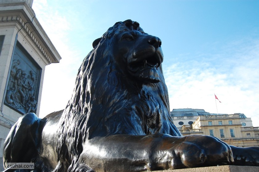 DSC_91212009-02-04_14-00-33