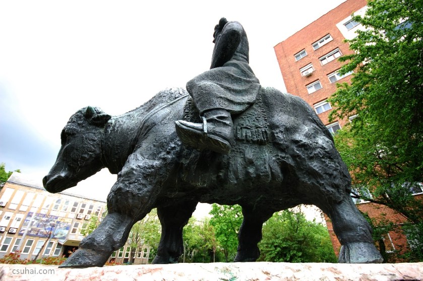 DSC_91292014-04-20_11-52-26