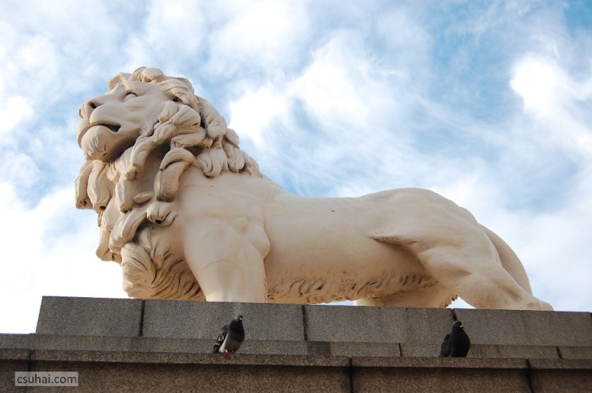 DSC_93122009-02-04_14-50-17