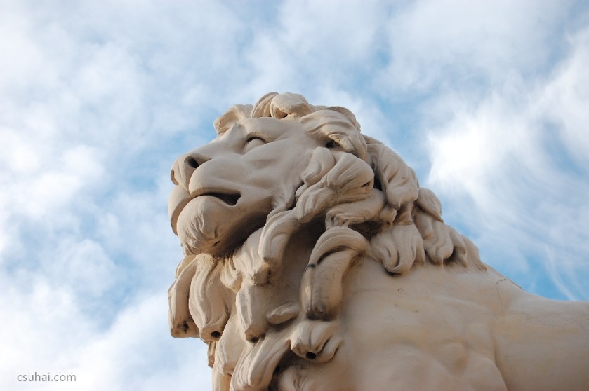 DSC_93132009-02-04_14-50-24