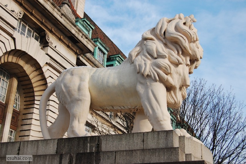 DSC_93222009-02-04_14-53-01