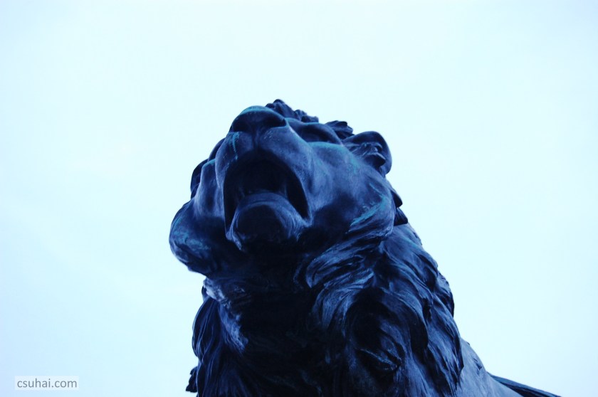 DSC_94802009-02-04_17-57-29