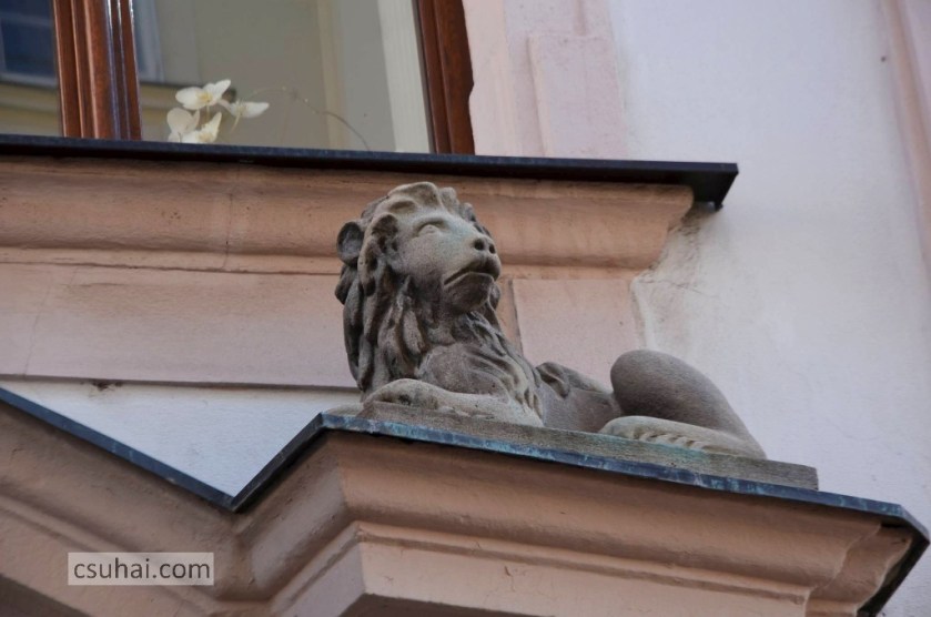 10559626_336921256462455_1310175743_o