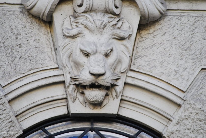 dsc_06452017-02-05_12-40-24