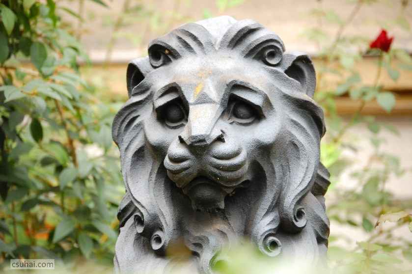 DSC_10812014-09-06_15-45-01