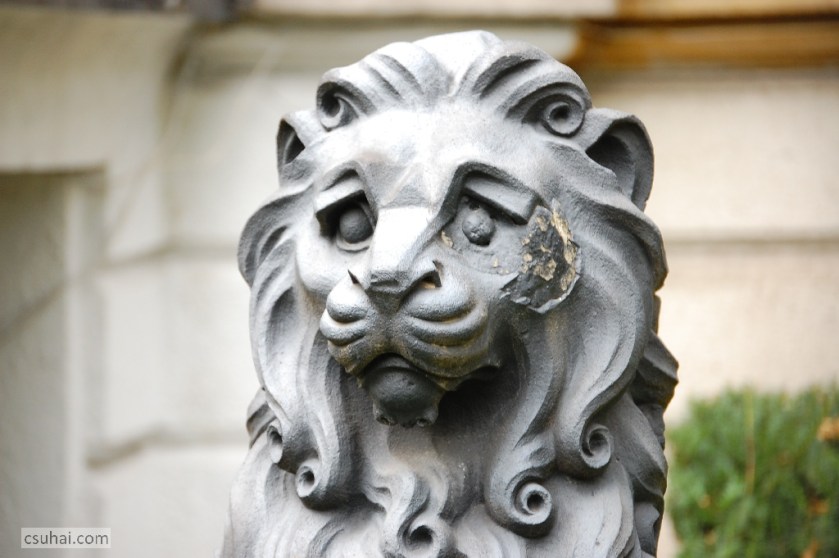 DSC_10822014-09-06_15-45-14