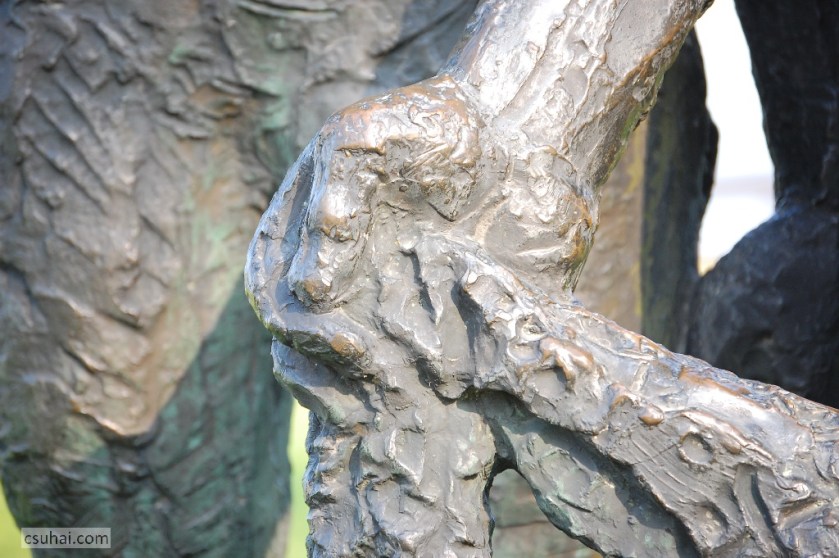 DSC_21032014-10-30_10-42-20