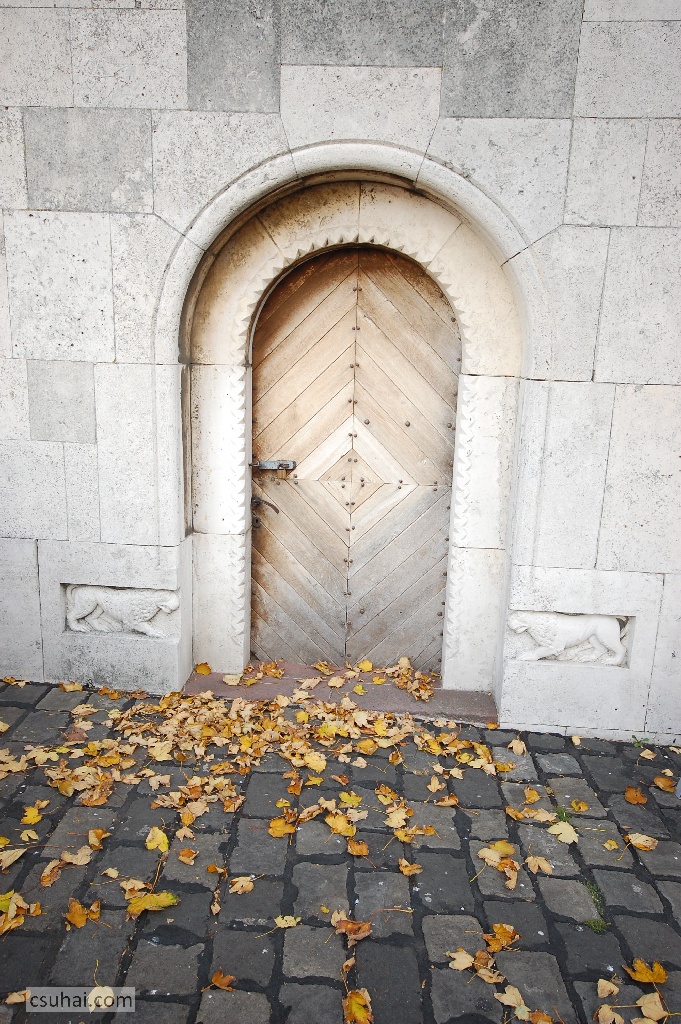 DSC_21352011-10-06_14-52-51