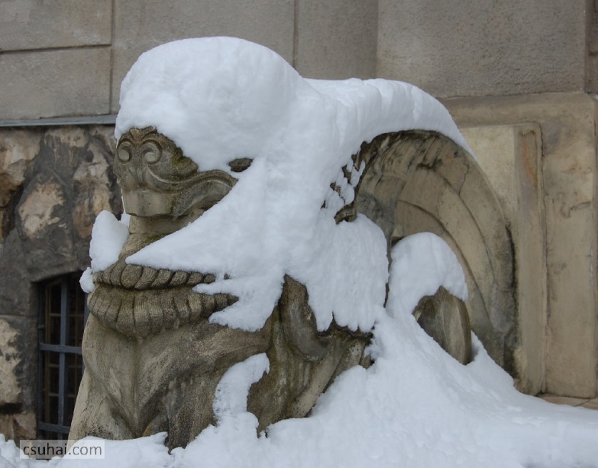 DSC_25752013-03-27_15-18-18