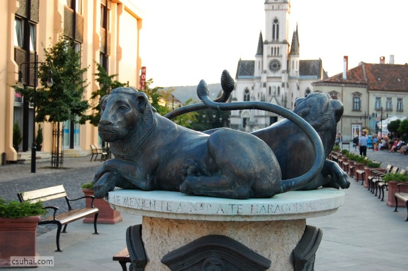 DSC_27652010-07-21_19-57-24