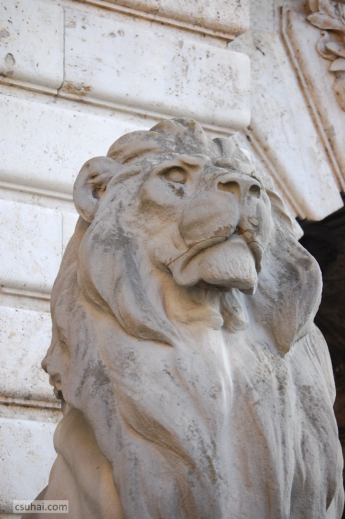 DSC_28922012-01-29_14-18-40