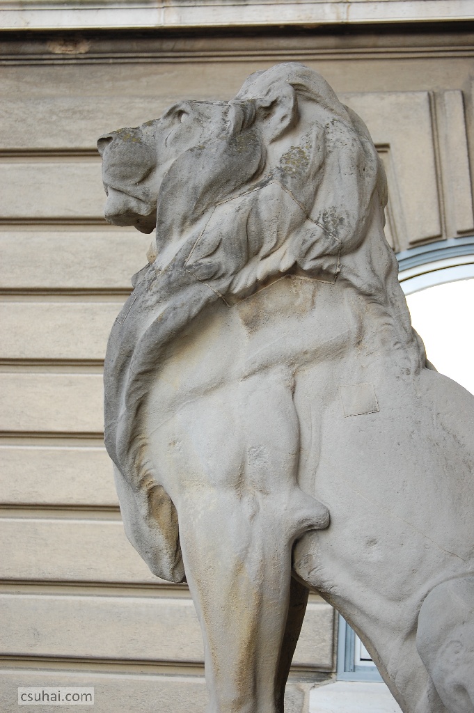 DSC_28932012-01-29_14-18-48