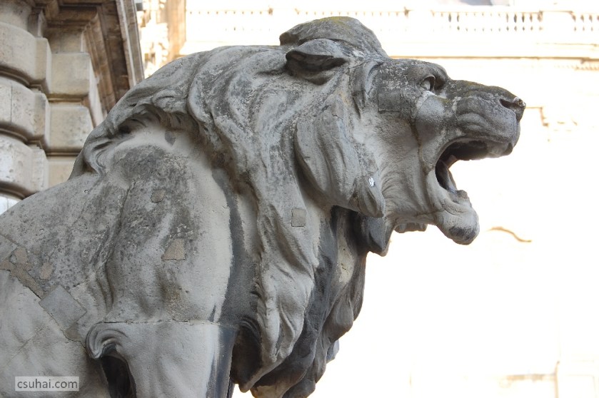 DSC_28942012-01-29_14-19-03