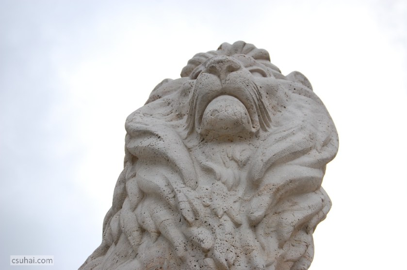 DSC_32832014-12-25_12-57-34