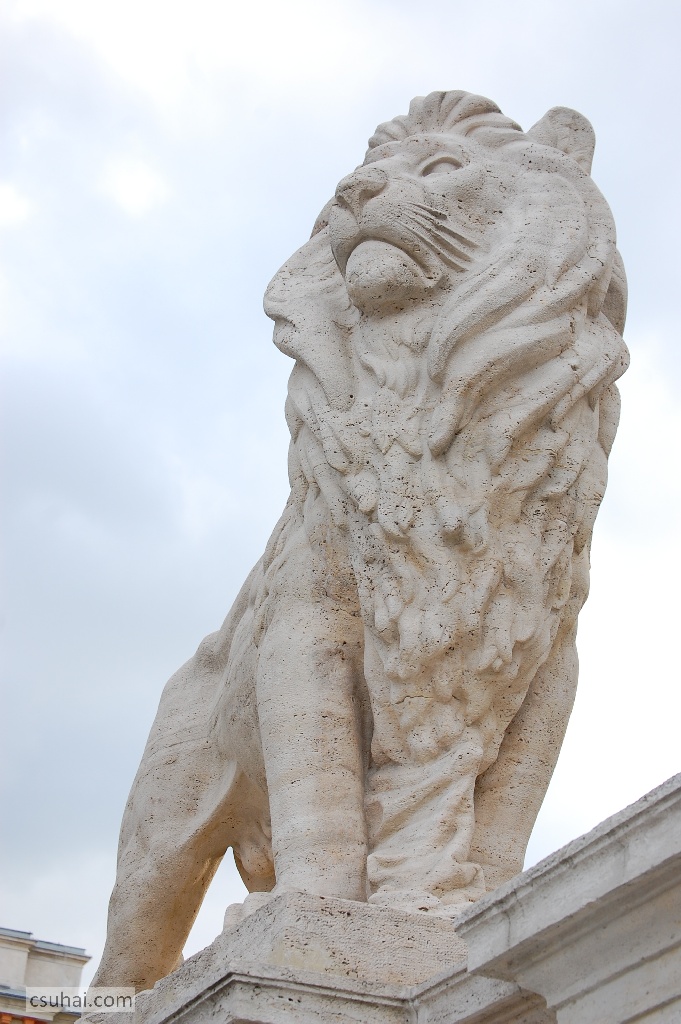 DSC_32842014-12-25_12-57-43