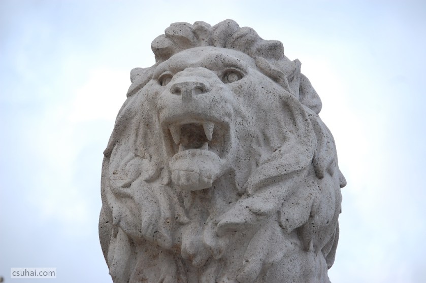 DSC_32932014-12-25_12-58-41