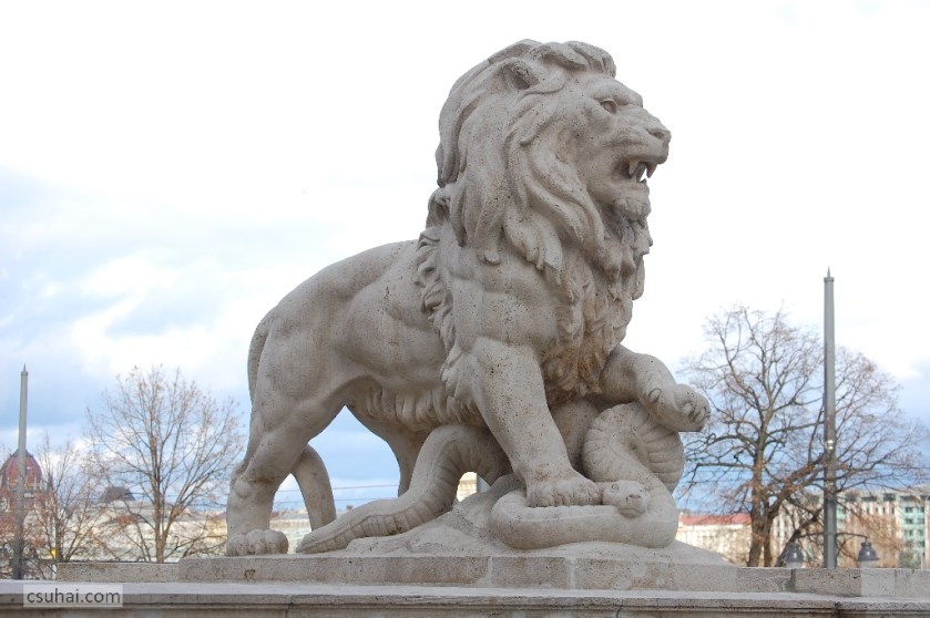 DSC_33012014-12-25_12-59-34