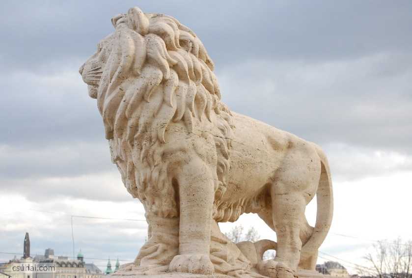 DSC_33102014-12-25_13-00-46