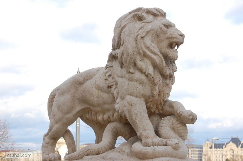 DSC_33142014-12-25_13-01-32