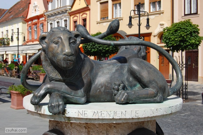 DSC_36842010-07-24_10-15-25