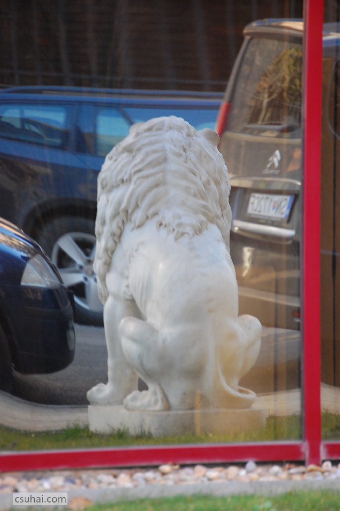 DSC_44832014-02-15_12-58-21