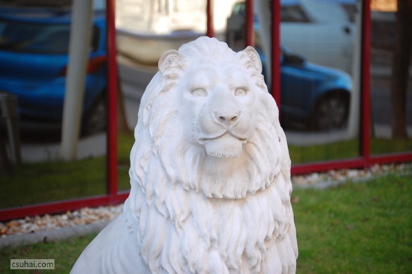 DSC_44872014-02-15_12-58-51