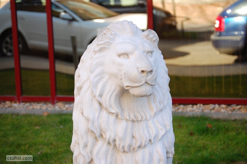 DSC_44892014-02-15_12-58-59