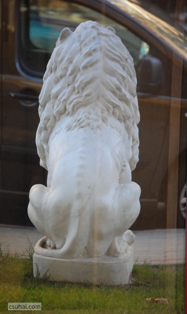 DSC_44902014-02-15_12-59-07