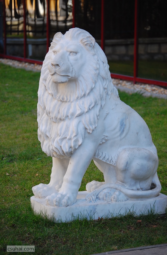 DSC_44932014-02-15_12-59-25