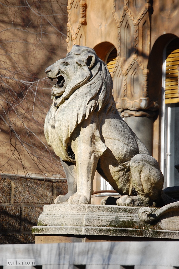 DSC_44952014-02-15_13-00-08