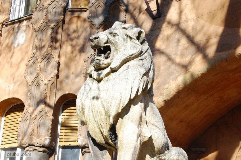 DSC_44972014-02-15_13-00-28