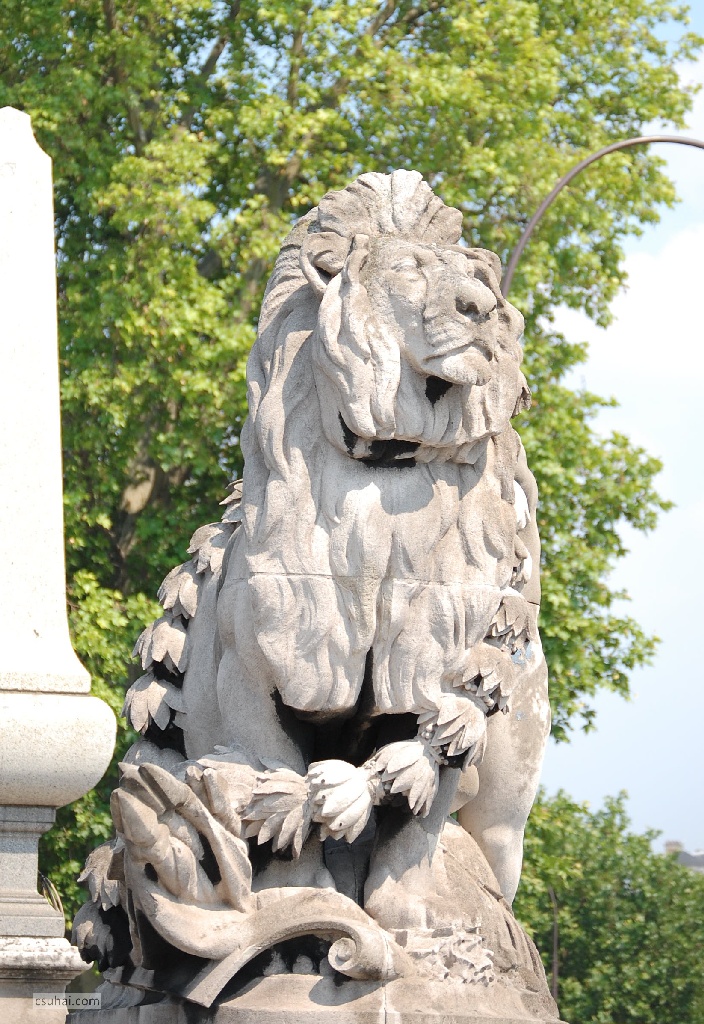 DSC_47622008-06-10_16-13-49