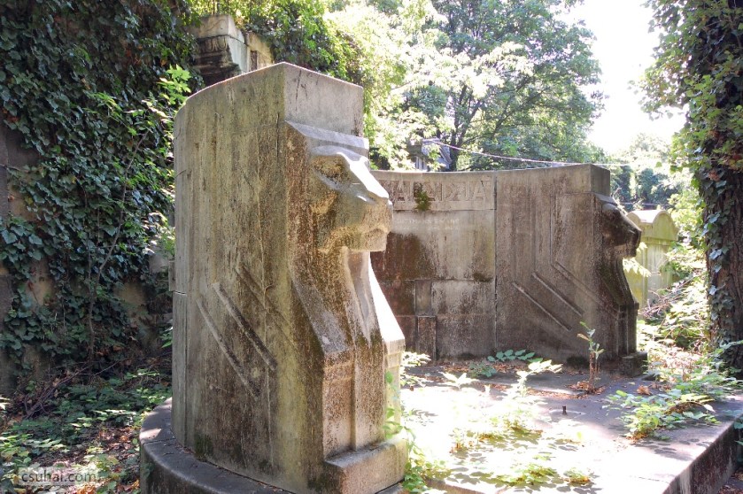 DSC_48832014-07-06_11-32-53