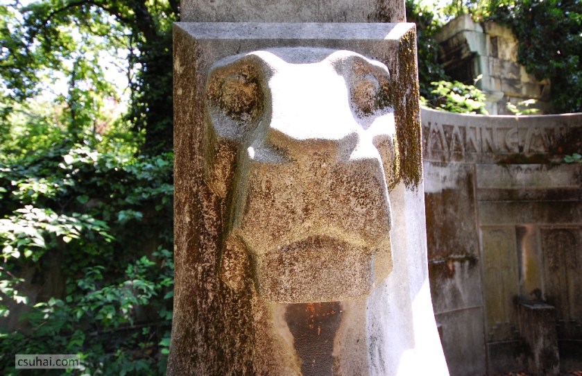 DSC_48852014-07-06_11-33-05