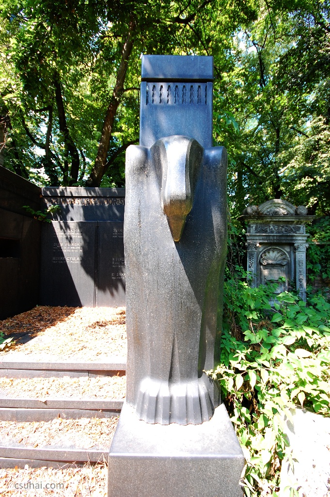 DSC_49052014-07-06_11-34-58