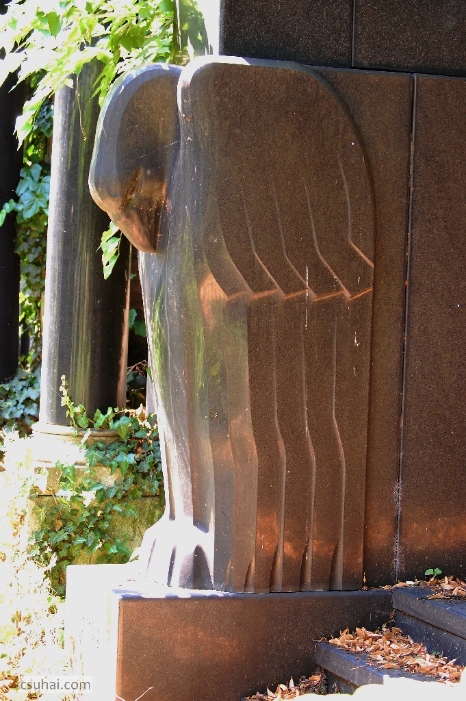 DSC_50182014-07-06_11-53-06