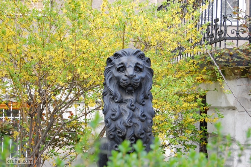 DSC_64192010-04-17_13-49-01