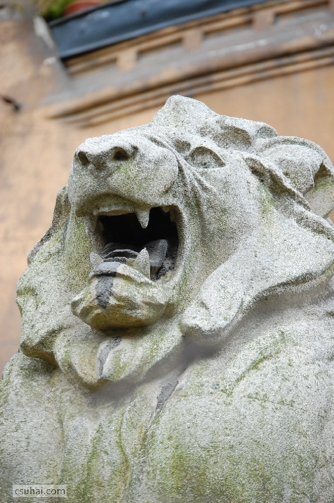 DSC_64352010-04-17_13-53-40