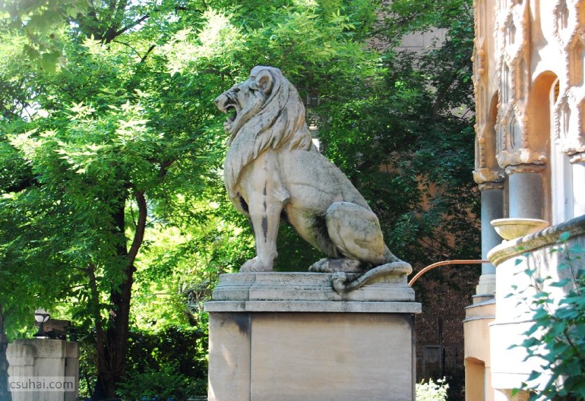 dsc_84372015-05-31_14-54-50