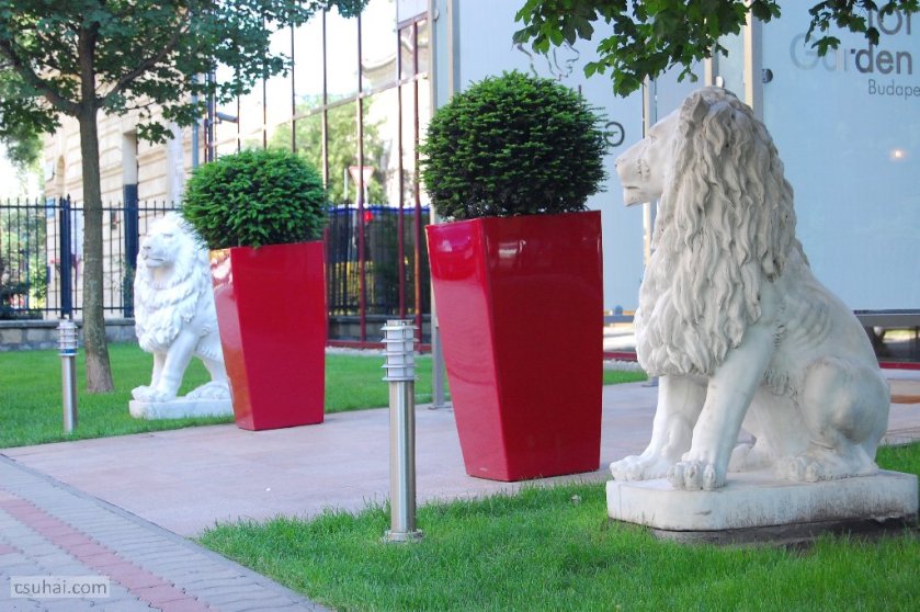 dsc_84382015-05-31_14-55-34