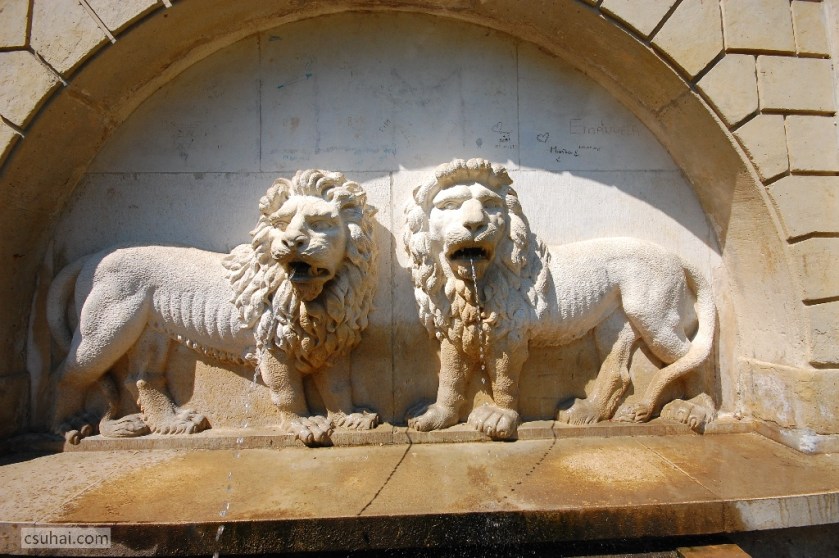 DSC_91102014-08-08_11-36-21