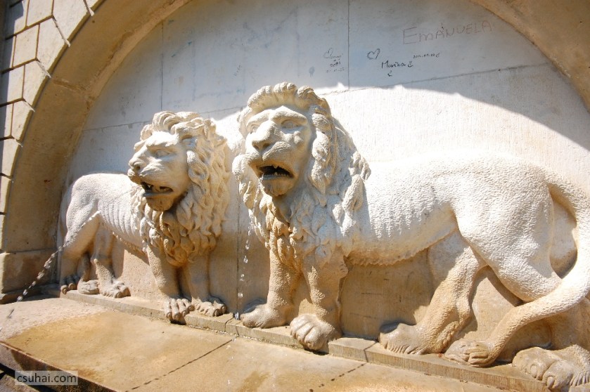 DSC_91112014-08-08_11-36-26