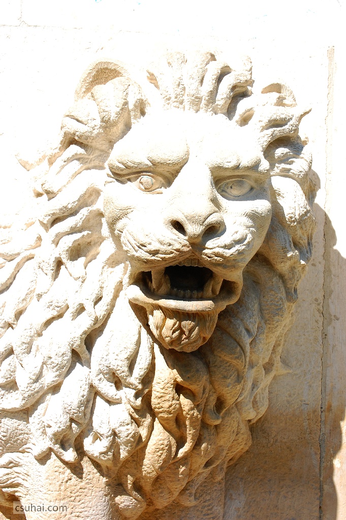 DSC_92692014-08-09_10-46-54