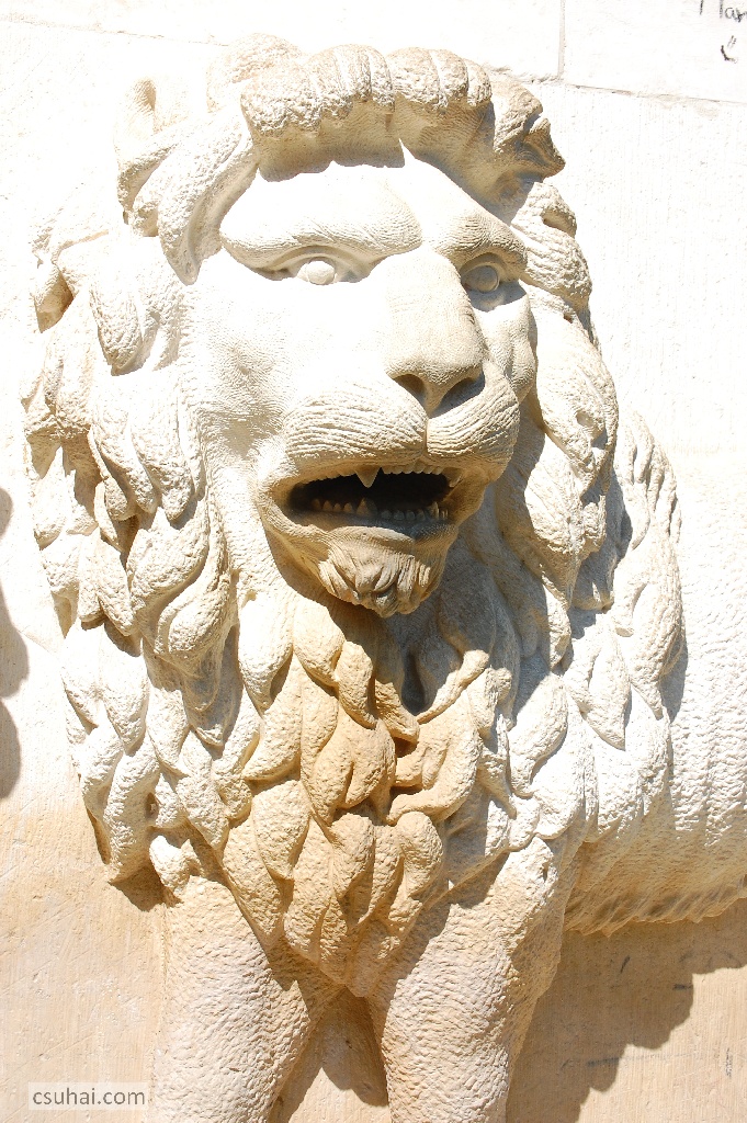 DSC_92702014-08-09_10-46-56