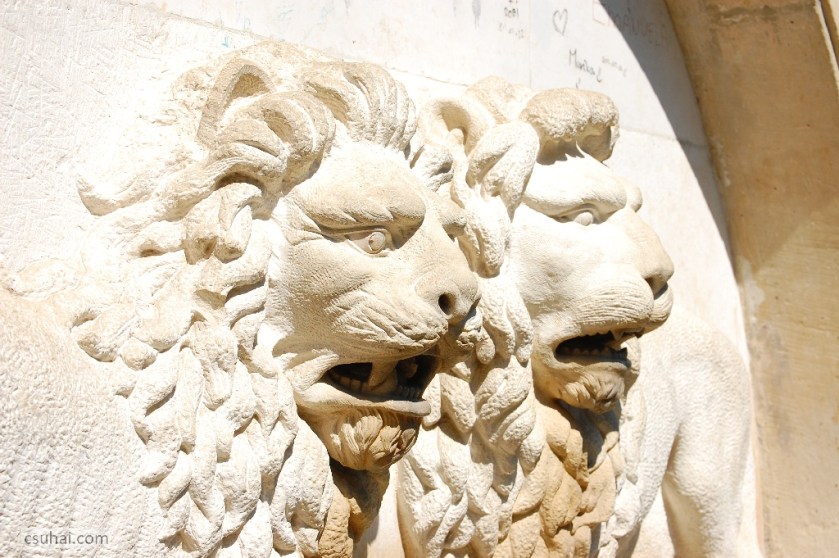 DSC_92792014-08-09_10-47-50