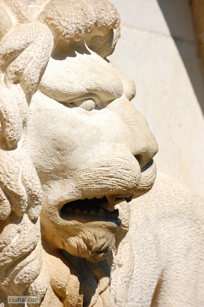 DSC_92802014-08-09_10-47-57