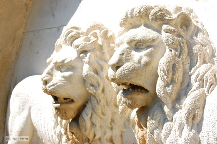 DSC_92822014-08-09_10-48-13