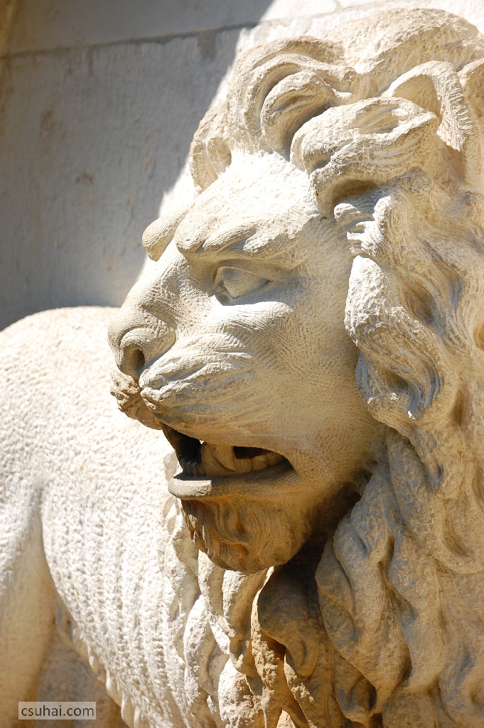 DSC_92842014-08-09_10-48-19